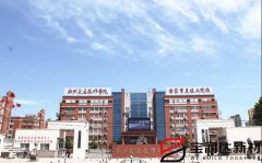 宝润达真石漆应用郑州交通技师学院旧墙改造项目