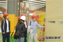 深入合作，菲律宾及日本客户一行联合来访宝润