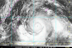 宝润达友情提示|超强台风“利奇马”来袭，请务必做好安全防护工作